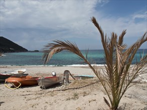 A sandy beach with boats and palm trees in the foreground, the sea and the blue sky with some