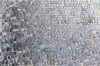 Stone pavement texture in Prague