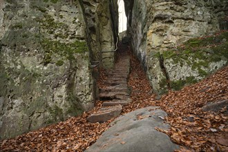 Devil Gorge at the Eifel, Teufelsschlucht with mighty boulders and canyon, hiking trail in Germany,
