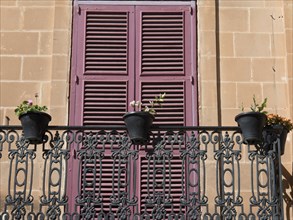 A balcony with wrought-iron railings and pink shutters, decorated with several flower pots in front