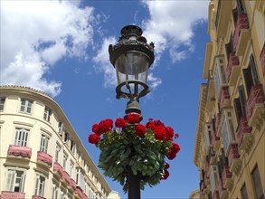 Classic street with a lantern and red flowers surrounded by tall buildings and a cloudy sky,