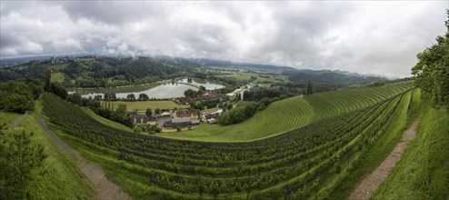 Thunderclouds over vineyard, Silberberg, Sulmsee, panoramic view, near Leibnitz, Styria, Austria,