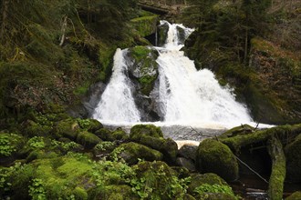 Triberg waterfall in the Black Forest, highest fall in Germany, Gutach river plunges over seven