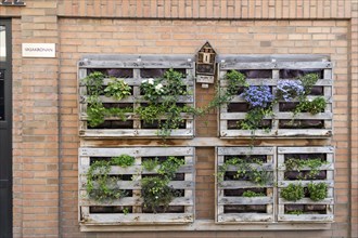 Vertical city garden, old pallets, Änggarden neighbourhood, Majorna-Linné district, Gothenburg,