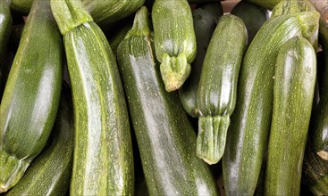 Freshly picked zucchini wallpaper