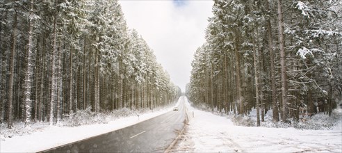 Road through a snow covered forest, slippery and frosty street in winter, empty highway in cold