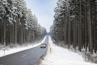 Road through a snow covered forest, slippery and frosty street in winter, empty highway in cold