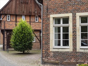 Part of a village with brick houses and a tree, window in the foreground, Legden, münsterland,