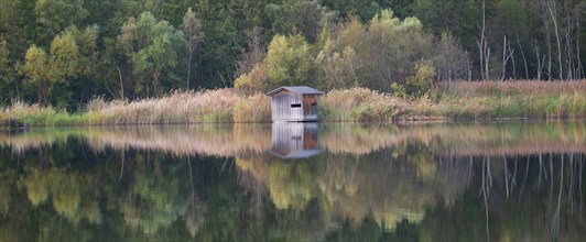 Biodiversity Haff Reimech, wetland and nature reserve in Luxembourg, pond surrounded by reed and