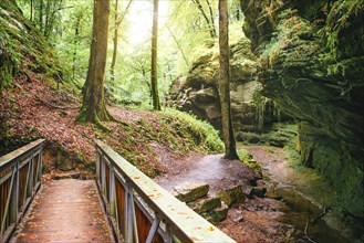 Mullerthal trail in Luxembourg between Echternach and Berdorf, hiking through a forest with