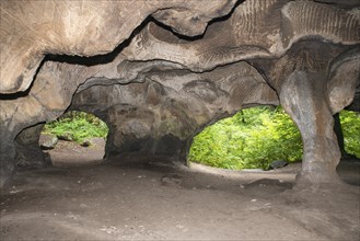 Huel Lee or Hohllay on the Mullerthal trail in Luxembourg, open cave with view to the forest,