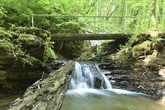 Waterfall and bridge over the Trübenbach in the Trübenbachtal nature reserve near Kirn in Naheland