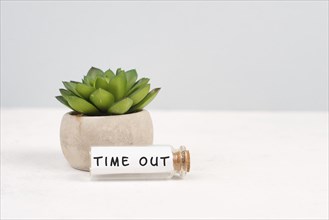 Cactus in a pot on a grey background, glass bottle with the phrase time out, work life balance,