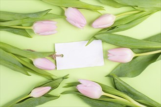 Pink tulips greeting card for birthday, easter holiday, womens day, mothers day, floral background