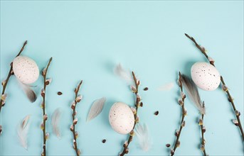 Easter holiday background, nest with small eggs, branches of pussy willow, greeting card, spring