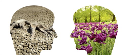 Two faces, one with a dry desert, the other one with fresh flowers, climate change, global warming,