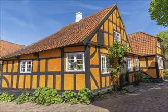 Faborg, Faaborg, picturesque old town with colourful houses, half-timbered houses, plants, gabled