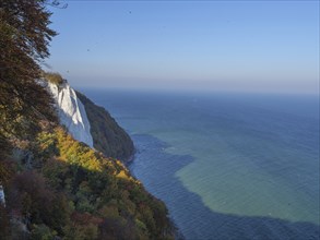 Expansive view of the sea and the white cliffs with autumnal colours, Binz, Rügen, Germany, Europe