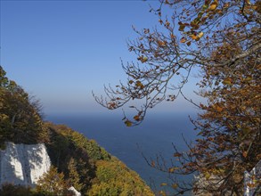 View from the cliffs over the wide sea, surrounded by autumn-coloured trees, Binz, Rügen, Germany,