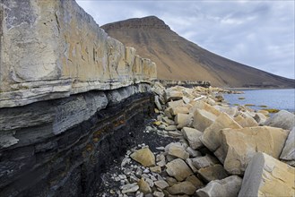 Coastal erosion showing crumbling shoreline along the rocky coast of Boltodden in summer,