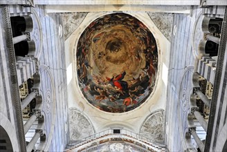 Ceiling vault, ceiling painting, frescoes, Cathedral, Piazza Dei Miracoli, Pisa, Tuscany, Italy,