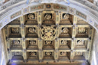 Casette ceiling in the nave, Cathedral of Santa Maria Assunta, Pisa, Tuscany, Italy, Europe,