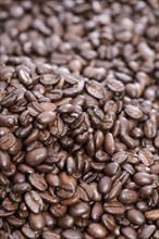 Coffee Beans background image (detailed close-up shot)