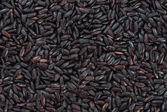 Portion of Black Rice (for use as background image or as texture)