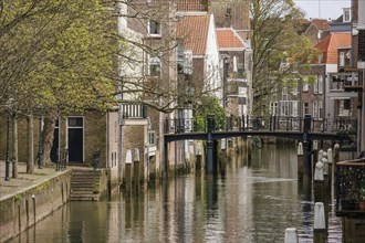 Tranquil scene of a canal with bridge and historic house facades lined with trees, Dordrecht,