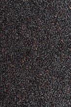 Portion of Black Rice (for use as background image or as texture)