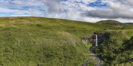 Svartifoss waterfall in the Skaftafell National Park Iceland during a summer day