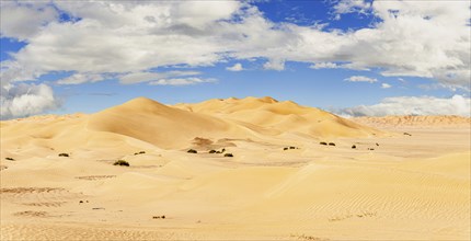 Jeep safari in the beautiful Omani Rub al-Chali Desert