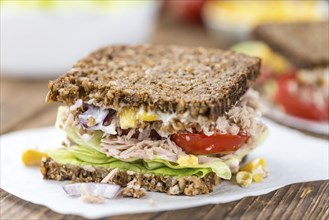 Fresh made Tuna sandwich with wholemeal bread (selective focus, close-up shot)