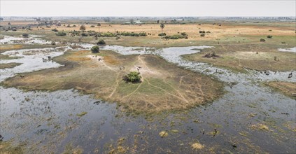 Wildlife in the Okavango Delta (aerial view from a helicopter)