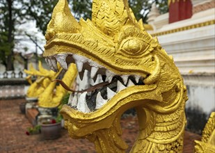 Naga figure, Haw Phra Kaew or Ho Phrakeo Museum, Vientiane, Laos, Asia