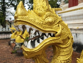 Naga figure, Haw Phra Kaew or Ho Phrakeo Museum, Vientiane, Laos, Asia