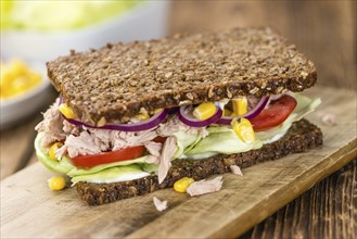 Fresh made Tuna sandwich with wholemeal bread (selective focus, close-up shot)