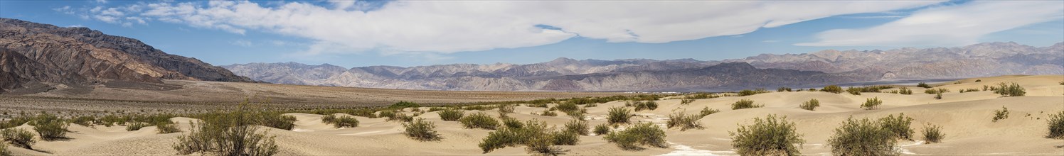 Mesquite Sand Dunes (Death Valley National Park, California, USA)
