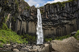 Svartifoss waterfall in the Skaftafell National Park Iceland during a summer day