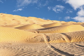 The beautiful Omani Rub al-Chali Desert during summer