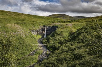 Svartifoss waterfall surrounded by dark basalt columns in Iceland