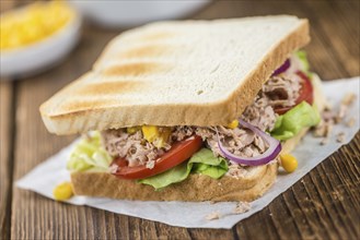 Fresh made Tuna Sandwiches (detailed close-up shot, selective focus)