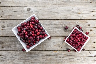 Vintage wooden table with Cranberries (preserved) (selective focus, close-up shot)