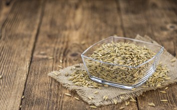 Portion of Oat as detailed close-up shot, selective focus