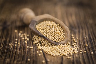 Mustard Seeds on a vintage background as detailed close-up shot (selective focus)