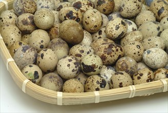 Food, quail eggs, cracked quail egg, Coturnix coturnix