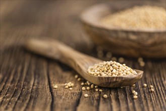 Mustard Seeds on a vintage background as detailed close-up shot (selective focus)