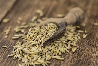 Portion of Oat as detailed close-up shot, selective focus