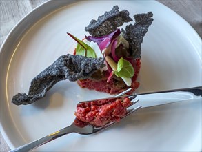Fork and Knife on Plate with Bull Tartare with Black Charcoal Garlic and Tropea Onion with Parmesan