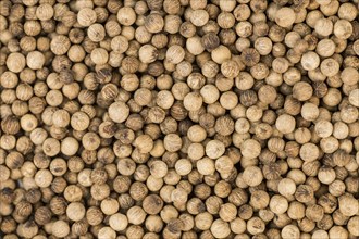 Fresh made White Pepper on a vintage background as detailed close-up shot